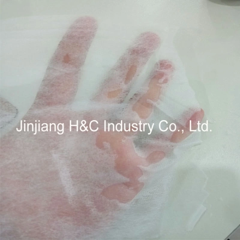 HC 13 Gsm Hydrophilic N.W. For Diaper And Napkin Making
